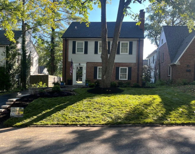 front yard during daytime